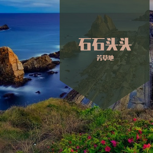 小白 (30)