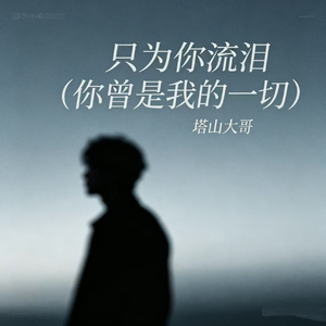 只为你流泪（你曾是我的一切）