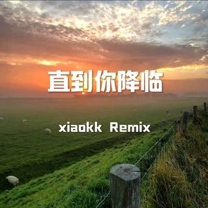 直到你降临 dj（xiaokk Remix）