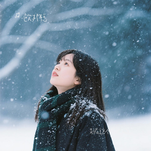 别在这个冬把我丢下