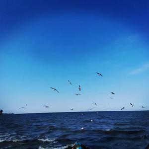 大宝（翻自 烟把儿）