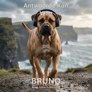 Antwoorde Kan Wag