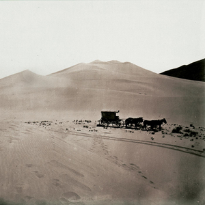 Shadows Before Sunset