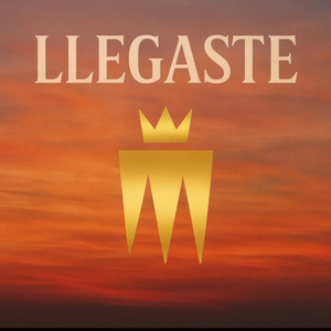Llegaste