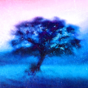 barely floating boat