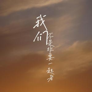 我们不是非要一起老
