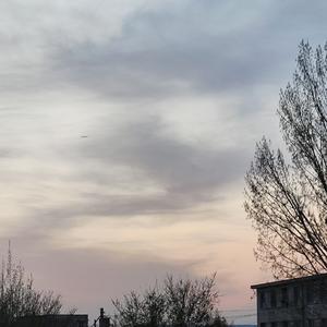 龚琳(非本人)-预谋（西游记版）（小埋不理不理 remix）