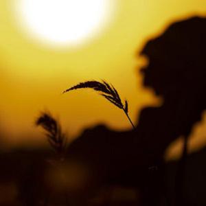 武家坡2023（最新版）