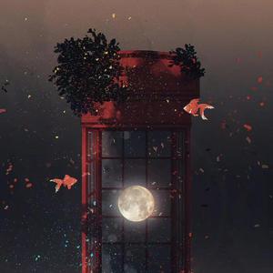 安娜的橱窗（改编）