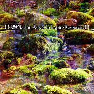 大自然母親的和諧