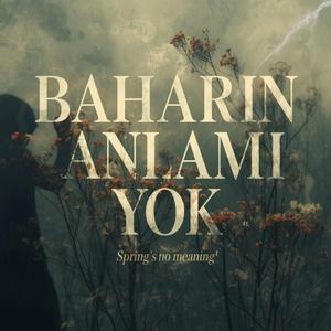 Baharın Anlamı Yok