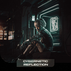 Cybernetic Reflection