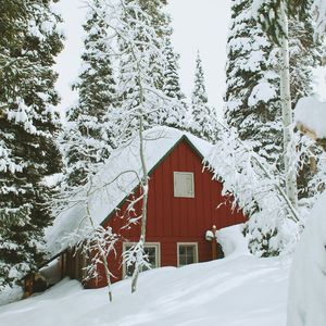 风沙狂舞的战士颂歌