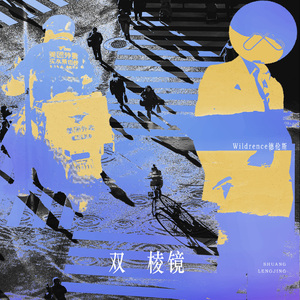 双棱镜（Double prism）