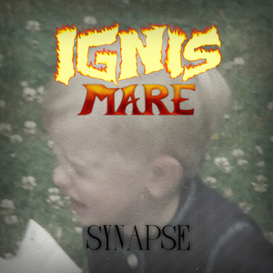 Synapse