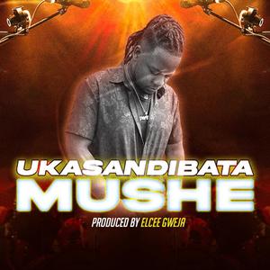 Ukasandibata Mushe