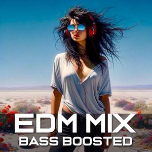 EDM MIX BASS BOOSTED CLUB BANGER