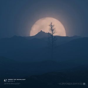 Under The Moonlight (VIP Mix)