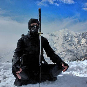 十二生肖闯江湖