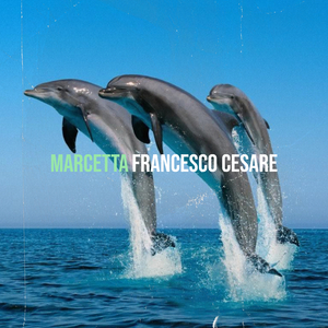 Marcetta