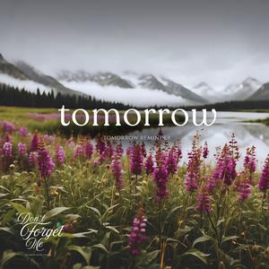 Tomorrow Reminder