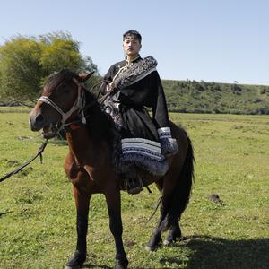 开往早晨的午夜（温柔不柔版）