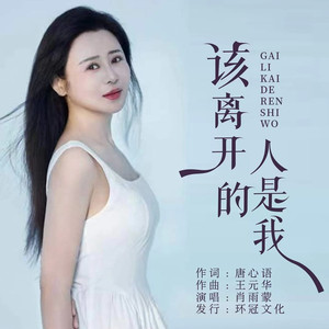 该离开的人是我 (DJ彭锐版)