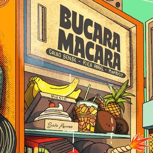 Bucara Macara