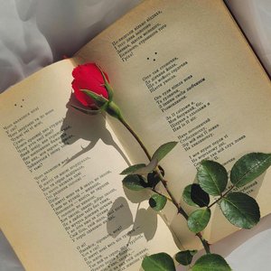 Todo va a estar bien