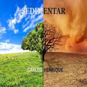 SEDIMENTAR