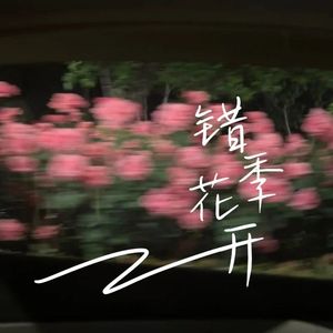错季花开（你看那开在春日里开的花）