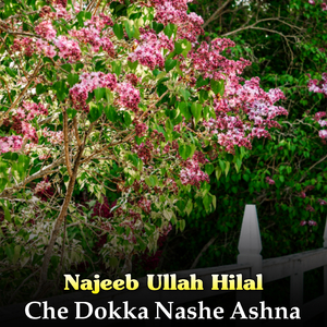 Che Dokka Nashe Ashna