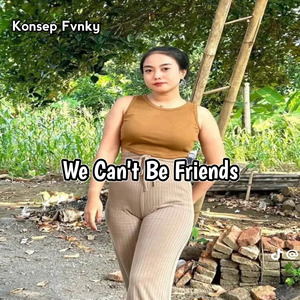 We Cant Be Friends