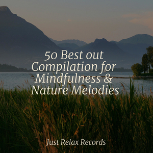 City Mist Melodies