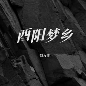 酉阳梦乡