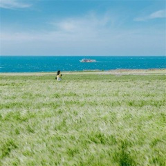 白噪音婴儿助眠轻音乐 (铃铛版)