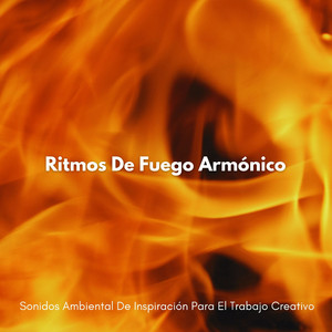 La Luz Ambiental Del Fuego Encienden El Pensamiento Creativo