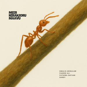 Meer Niranjoru Maavu