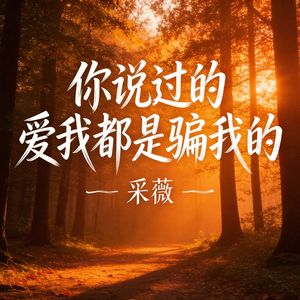 你说过的爱我都是骗我的(伴奏)