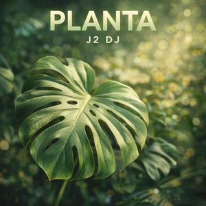 PLANTA