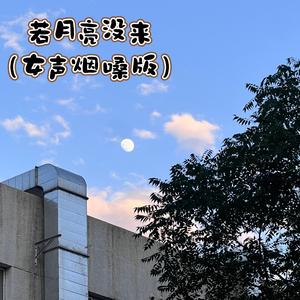 若月亮没来（女声烟嗓版）