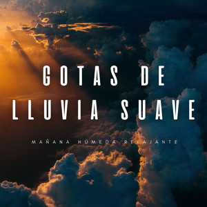 Lluvia Ambiental Vitalizante