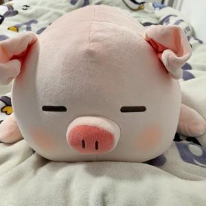 我是爱吃饭睡觉的猪