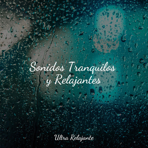 Orillas Alineadas