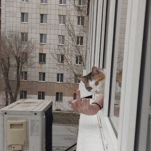关于永远