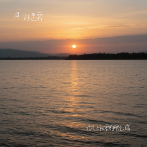 你让我爱的那么痛