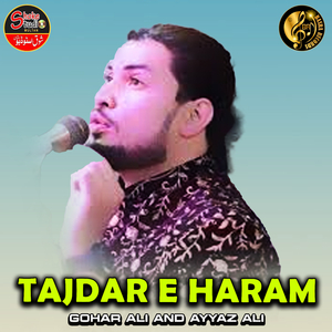 Tajdar E Haram (1)