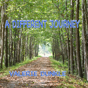 A Different Journey