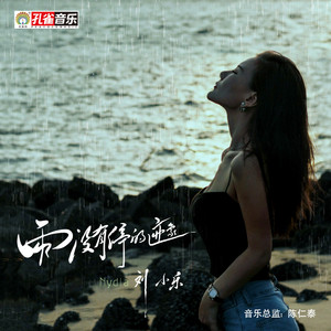 雨没有停的迹象