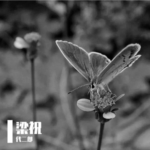 化蝶（吉他独奏）